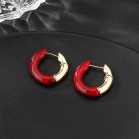 Bottega Veneta Essentials Earrings In Metal and Resin Green