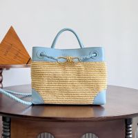 Bottega Veneta Small Andiamo Top Handle Bag In Raffia and Leather Blue